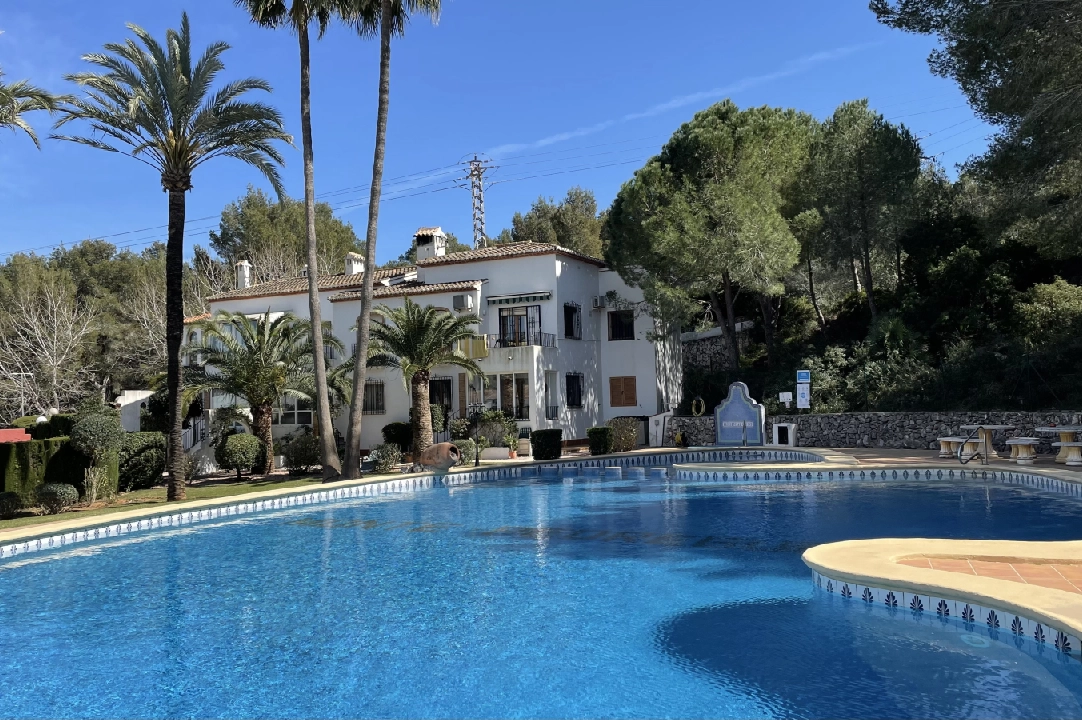 apartment in Pedreguer(Monte Pedreguer) for holiday rental, built area 43 m², year built 1980, condition neat, + KLIMA, air-condition, 1 bedroom, 1 bathroom, swimming-pool, ref.: T-0218-1