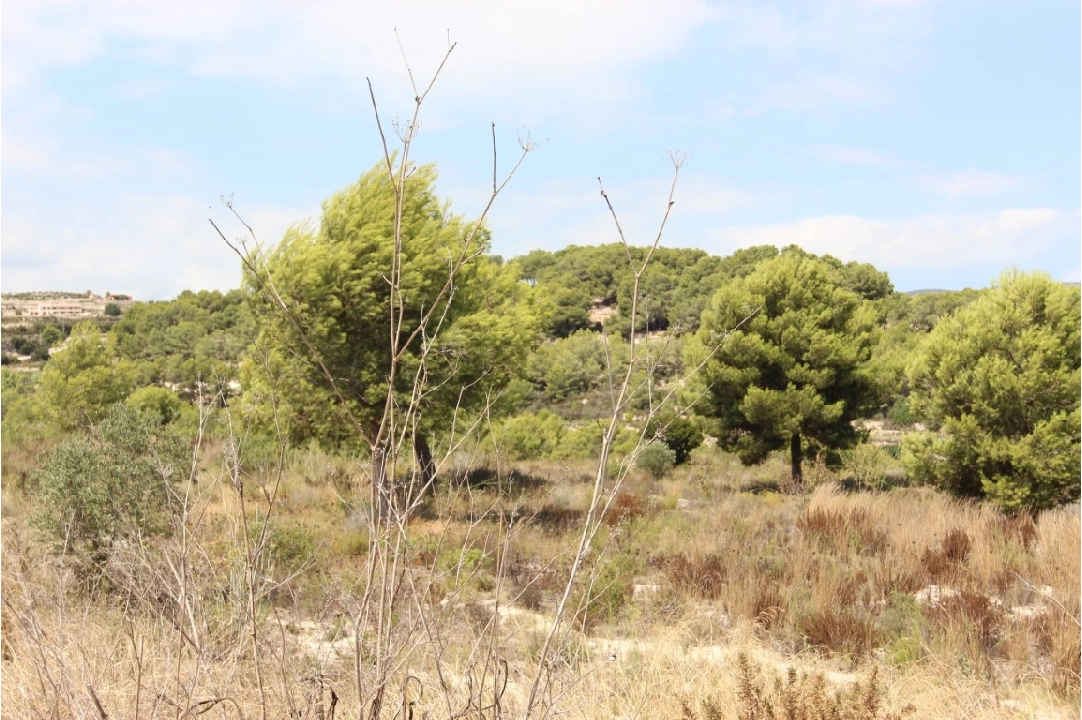 residential ground in Moraira(Benimeit) for sale, plot area 10010 m², ref.: BP-3097MOR-4