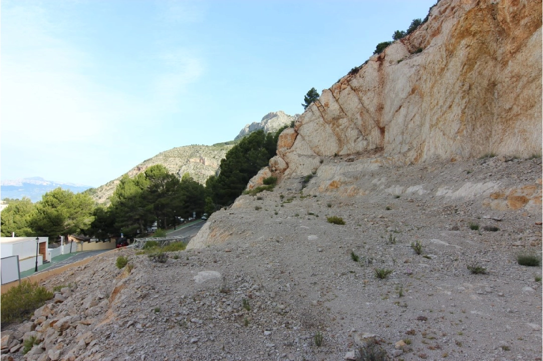 residential ground in Altea(Altea Hills) for sale, plot area 4000 m², ref.: BP-6150ALT-5