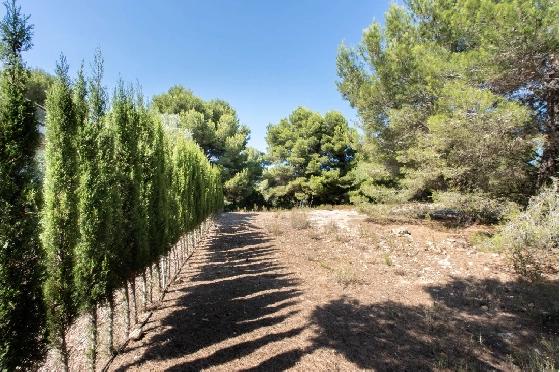 residential-ground-in-Javea-Cap-de-San-Antonio-for-sale-BP-4105JAV-2.webp