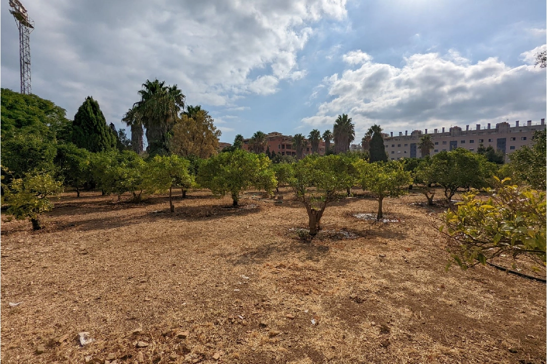 country house in Denia(Sport center) for sale, plot area 2000 m², ref.: BP-8013DEN-10