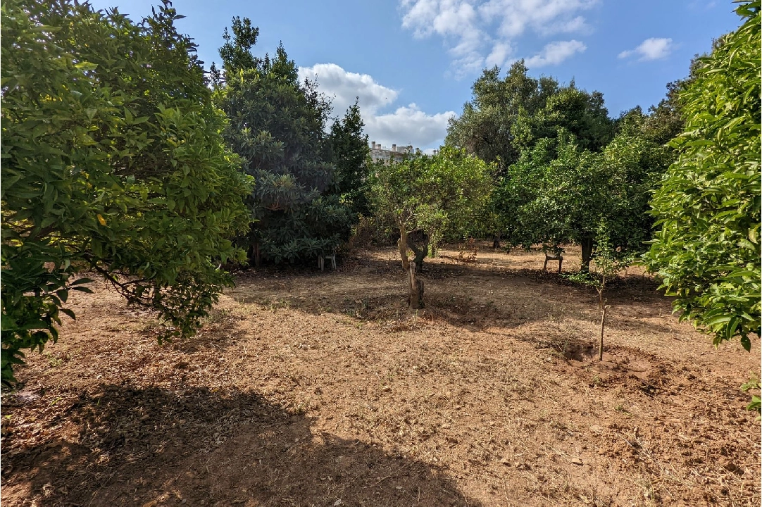 country house in Denia(Sport center) for sale, plot area 2000 m², ref.: BP-8013DEN-7