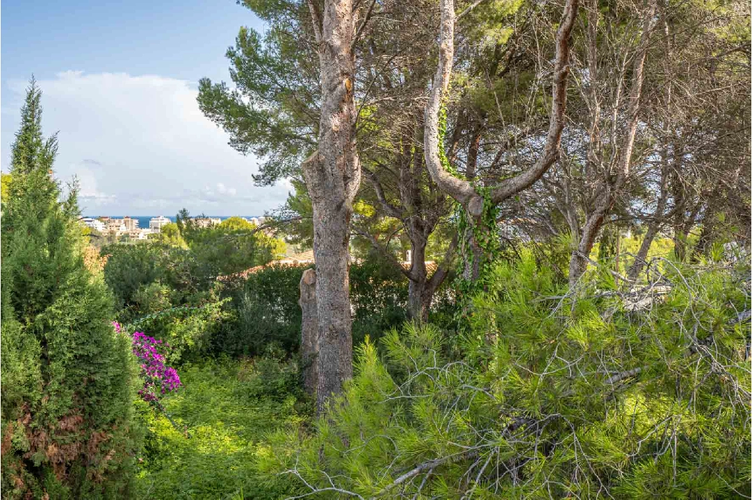 residential ground in Javea(Adsubia) for sale, plot area 1000 m², ref.: BP-4131JAV-1