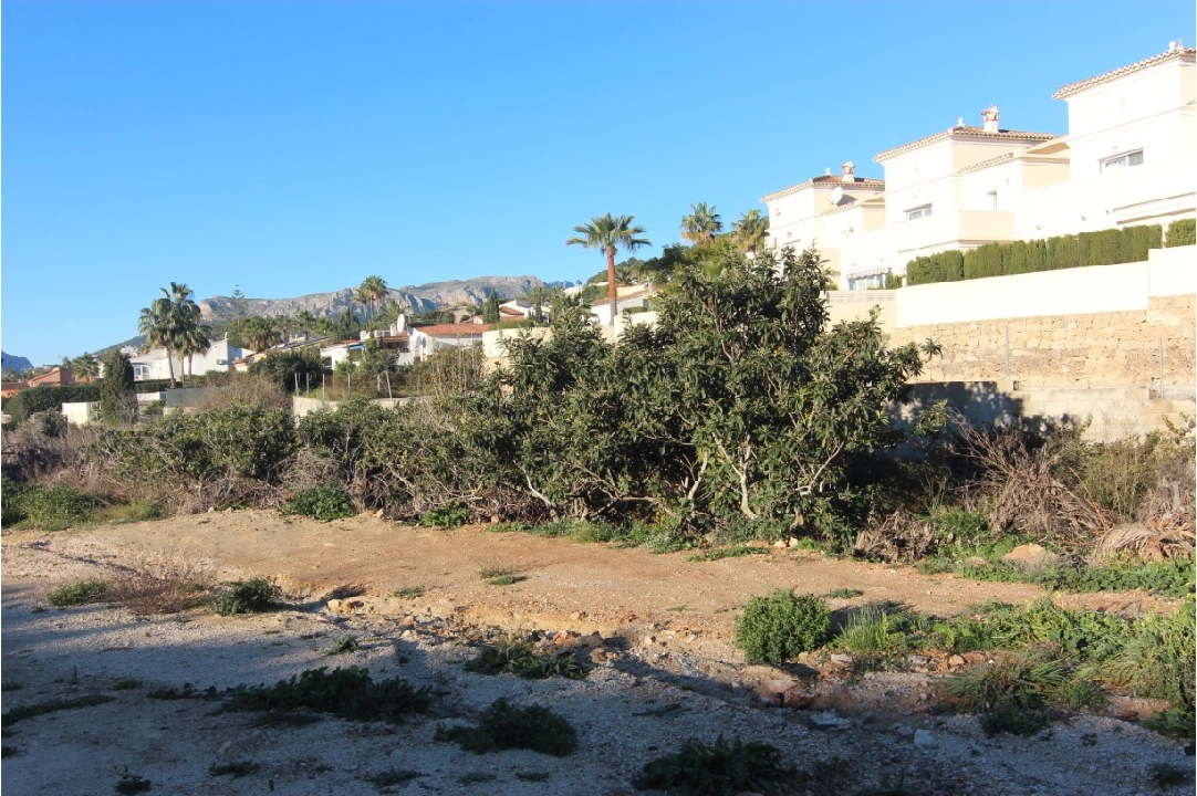 residential ground in Calpe(Gran Sol) for sale, plot area 4322 m², ref.: BP-6417CAL-3