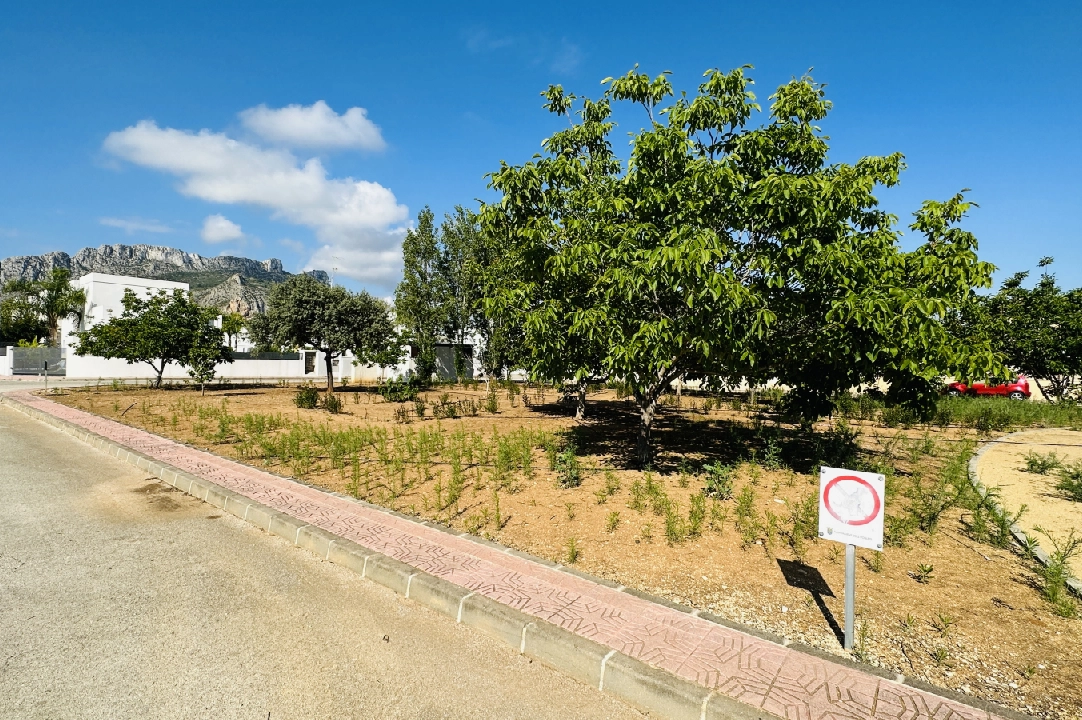 residential ground in Els Poblets for sale, plot area 990 m², ref.: AS-0723-9