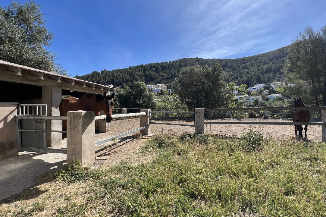 country house in Orba for sale, built area 300 m², year built 2000, + stove, plot area 17241 m², 4 bedroom, 2 bathroom, swimming-pool, ref.: SB-2423-12