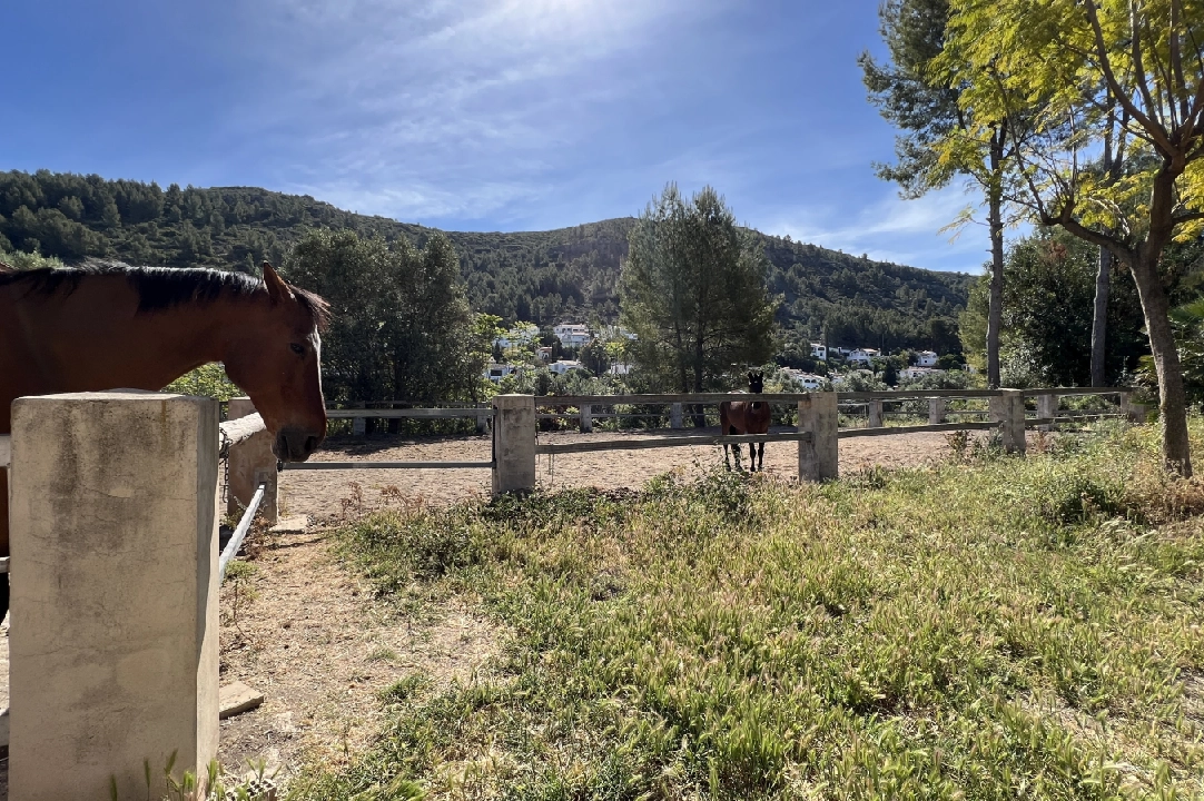 country house in Orba for sale, built area 300 m², year built 2000, + stove, plot area 17241 m², 4 bedroom, 2 bathroom, swimming-pool, ref.: SB-2423-34