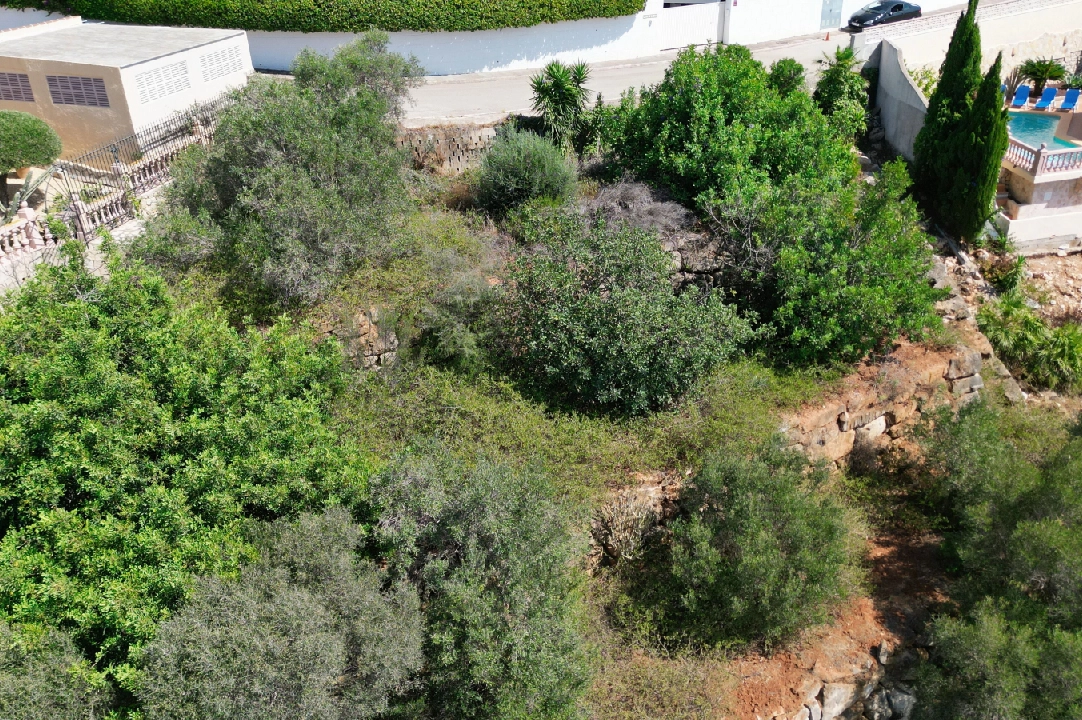 residential ground in Denia(Marques VI) for sale, plot area 954 m², ref.: AS-1323-4