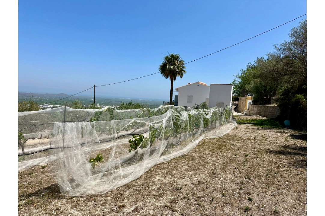 country house in Pego for sale, built area 83 m², year built 1947, air-condition, plot area 7080 m², 2 bedroom, 1 bathroom, swimming-pool, ref.: O-V91914-11