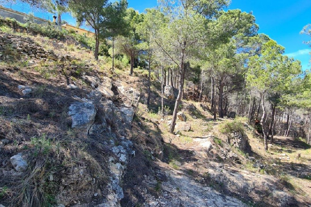 residential ground in Calpe for sale, air-condition, plot area 2500 m², ref.: AM-11750NS-1