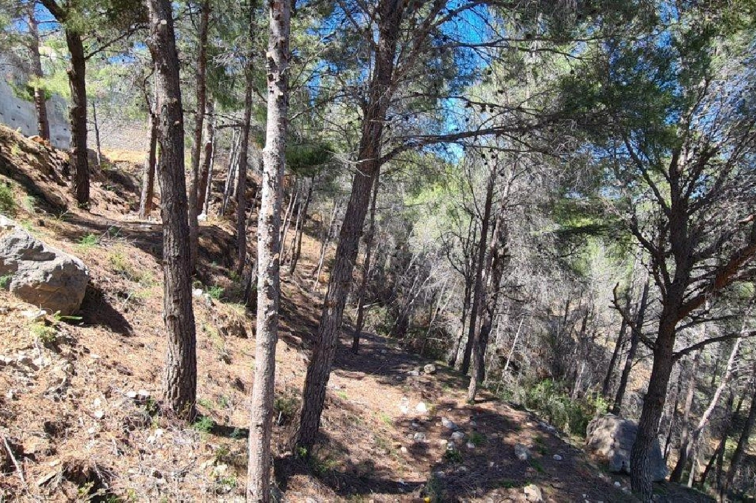 residential ground in Calpe for sale, air-condition, plot area 2500 m², ref.: AM-11750NS-6