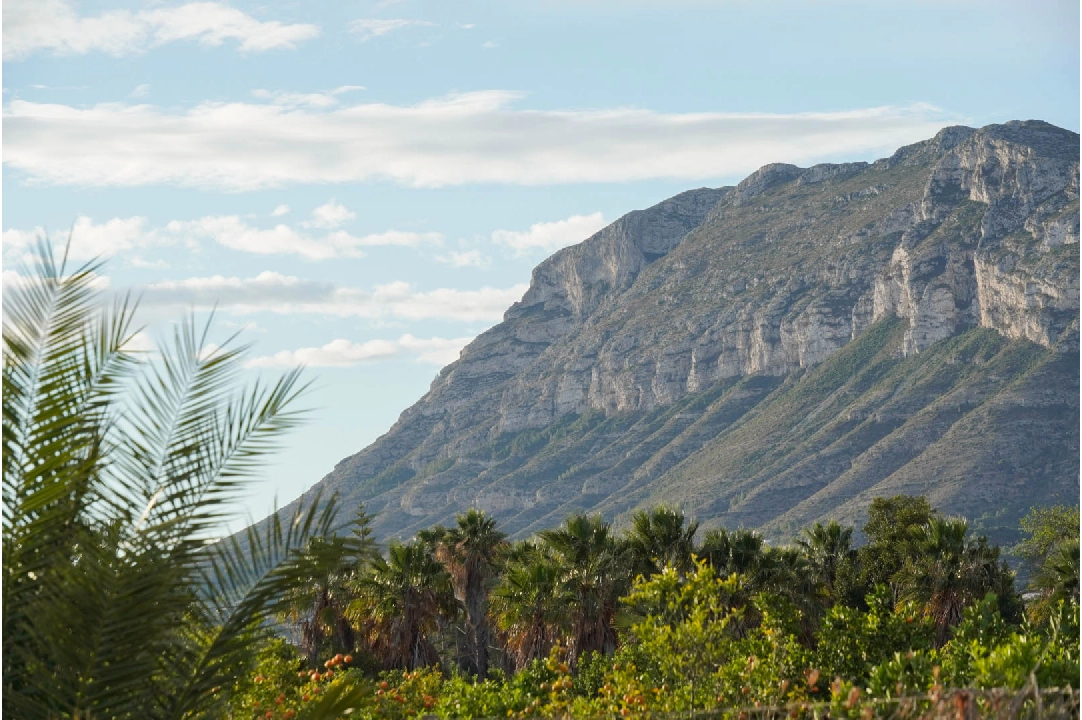 villa in Denia for sale, built area 250 m², year built 1978, + KLIMA, air-condition, plot area 1929 m², 3 bedroom, 2 bathroom, swimming-pool, ref.: BP-C3XY8187DEN-9