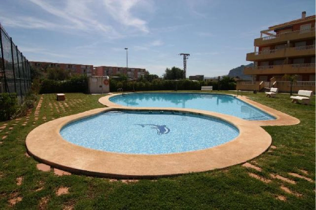 Separate community pool next to the tennis court